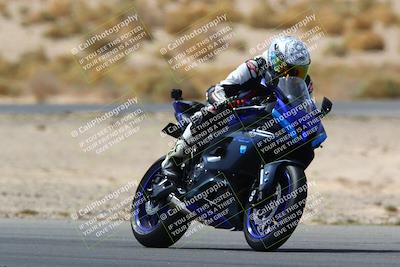 media/Apr-10-2022-SoCal Trackdays (Sun) [[f104b12566]]/Turn 5 Tree of Life (1040am)/